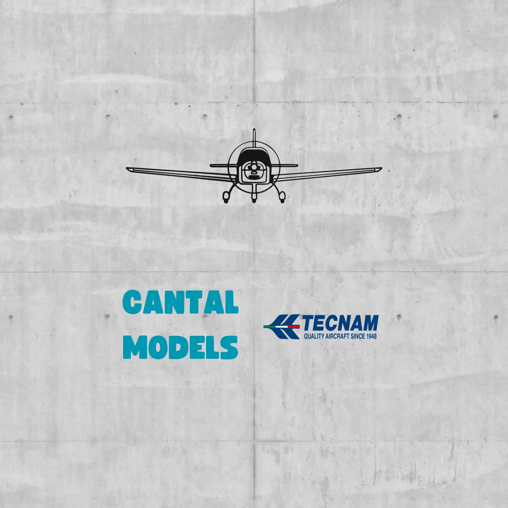TECNAM P2002 #1 | 2D WALL ART