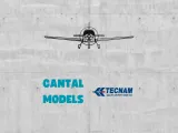 TECNAM P2002 #1 | ARTE DE PARED 2D-0