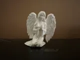 Angel 11-1