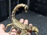scorpion detailed model-7