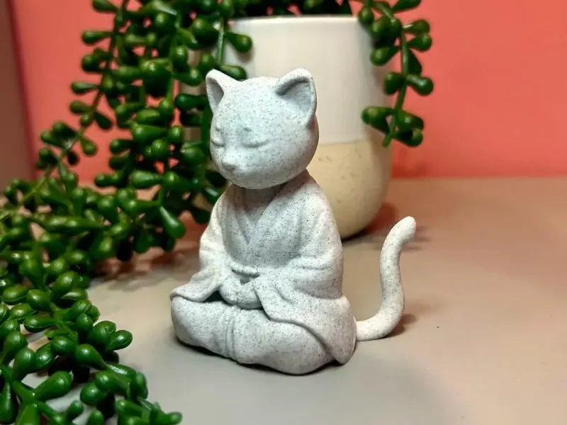 Meditating cat