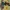 Dragon Remix - Glue In Eyes