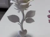 Bela rosa-1