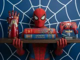 Spiderman-Regal-2