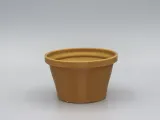 Cactus décor-3