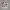 Twin Hearts of Peaceful Love – Noah0x03
