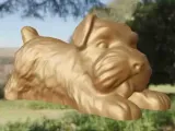 Dog lazy-3