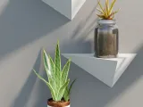 Geometric Triangle Floating Shelf-4