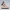Lilac Lounge Serenity – Ecchi Collection