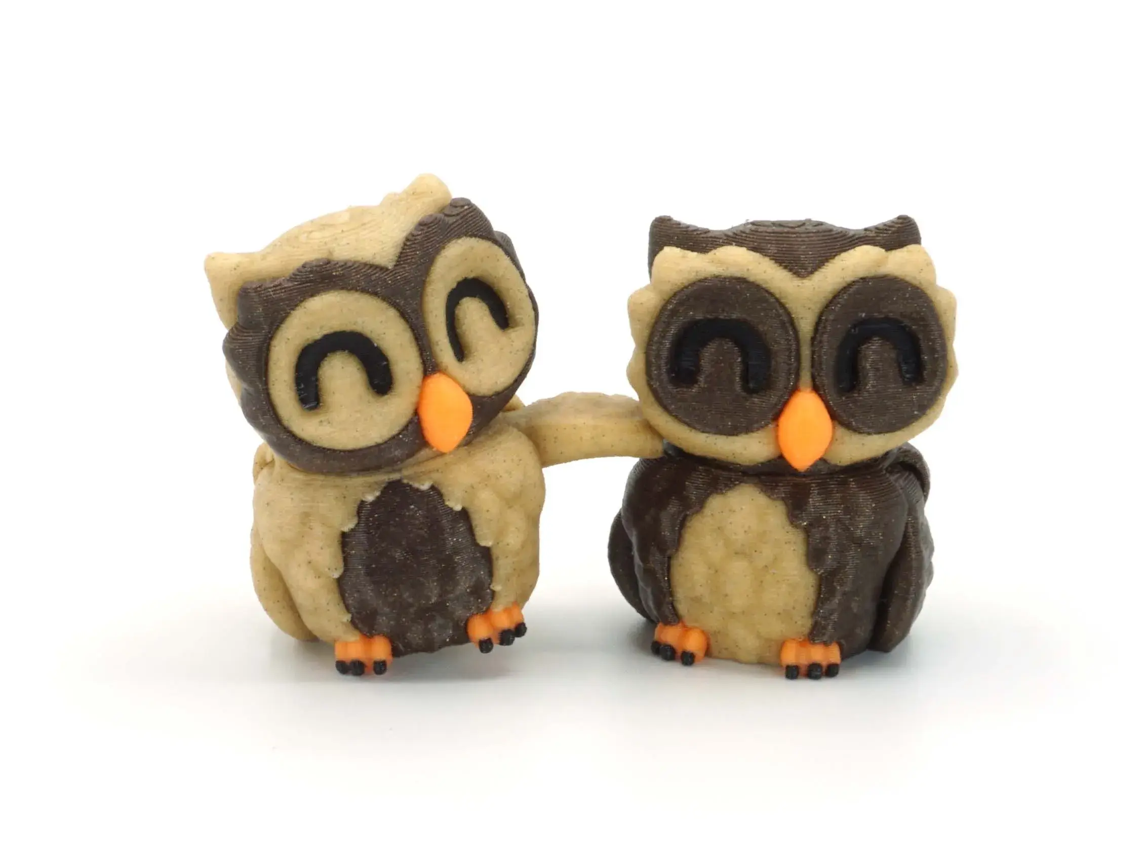 Tiny Owl