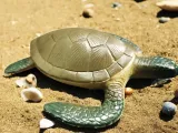 Sea turtle-1