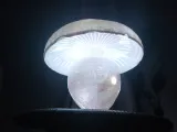 LAMPADA A FUNGO "LE BOLET BLANCHÂTRE-3