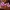 Midnight Hearts – Valentine’s Day