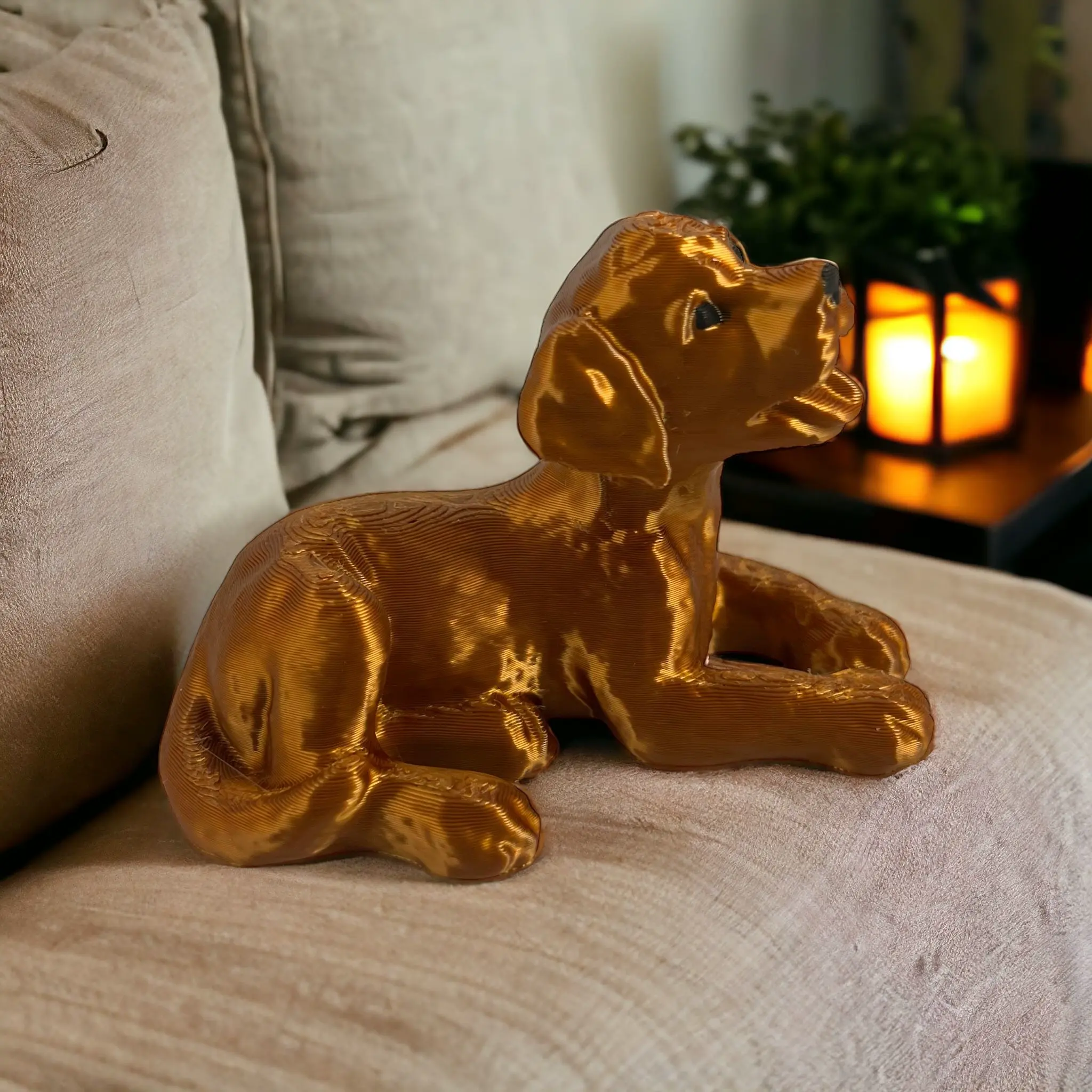 Labrador puppy dog