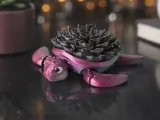 Flexi Turtle Desk Buddy with Succulent Shell-0