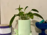 Frog Planter-5