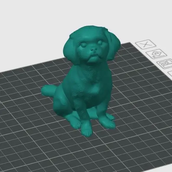 Perrito Shih Tzu
