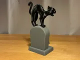 Kat op graf-1