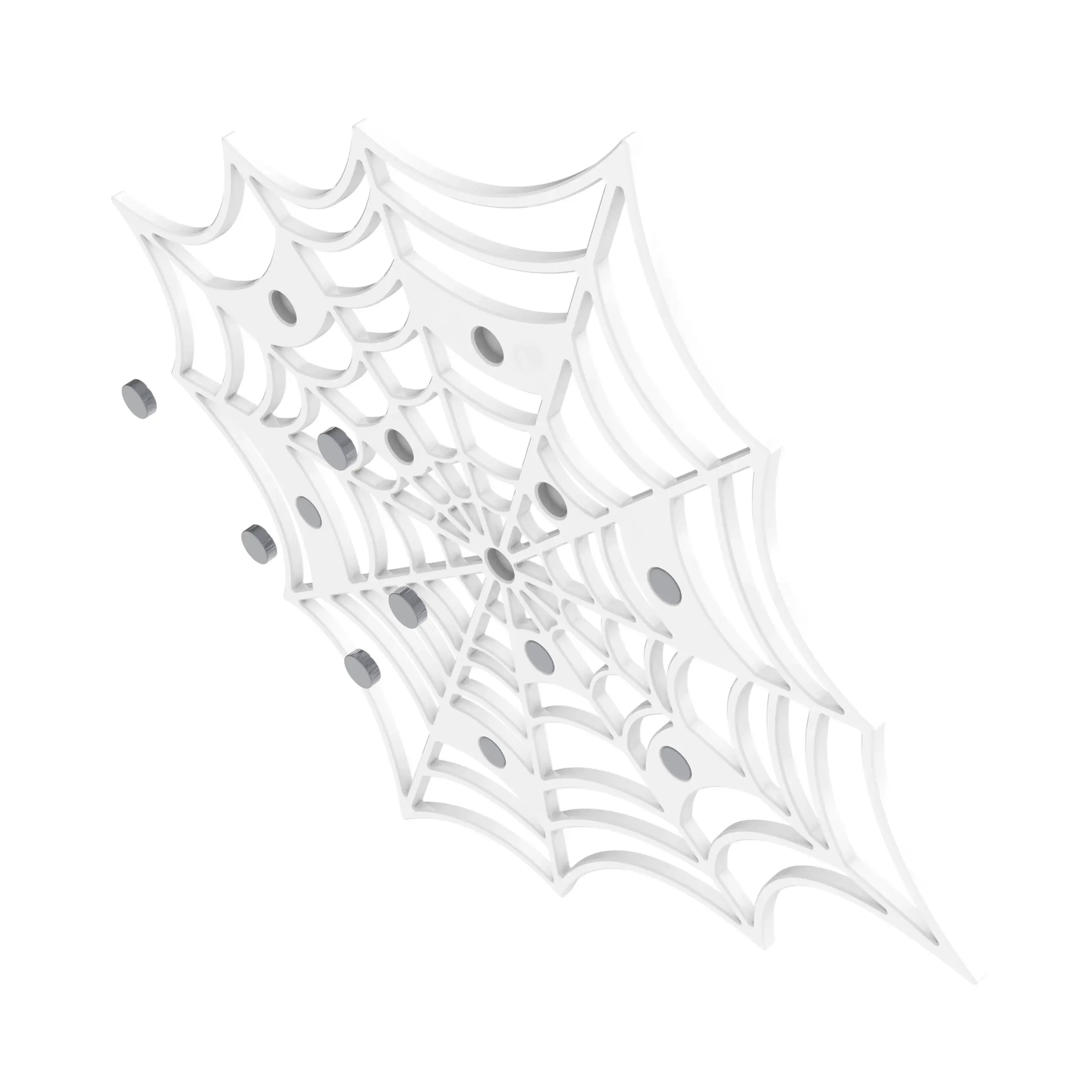Spiderweb Photo Trap