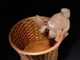 Curious Bunny - Easter Basket-3