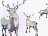 Reindeer-4