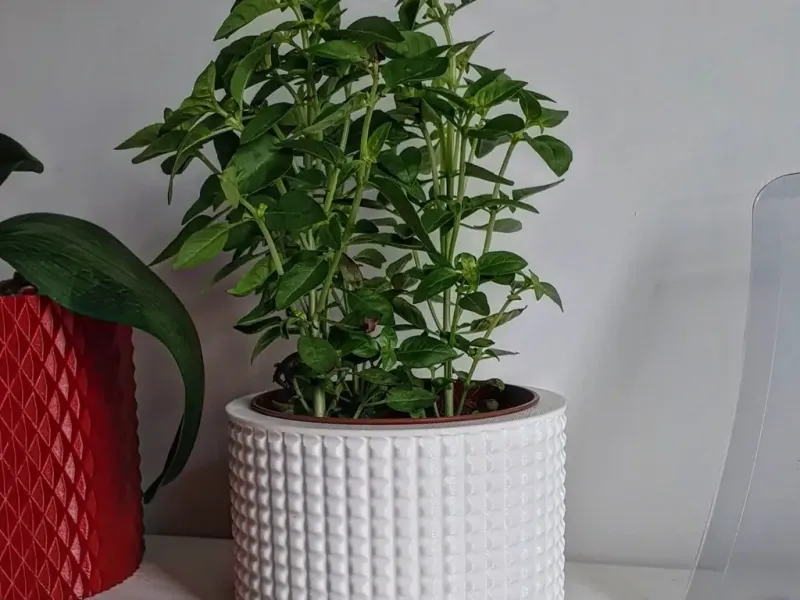 Vase Pot Planter Cachepot 2