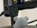 Hi bear 🐻-2