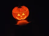 Spooky Bulbasaur-6