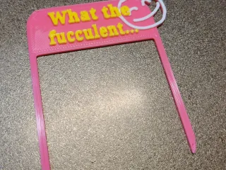 What The Fucculent - Funny Plant Pot Decoration