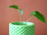 Butterfly Planter-4