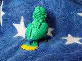 Amazon Parrot-5