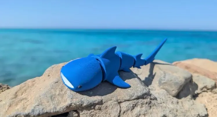 Cute flexi whale shark