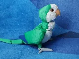 Quaker Articulated Figure-4