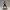 Earth Guardian Priestess – Tribal Power Collectible Figurine