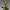 CYRAX