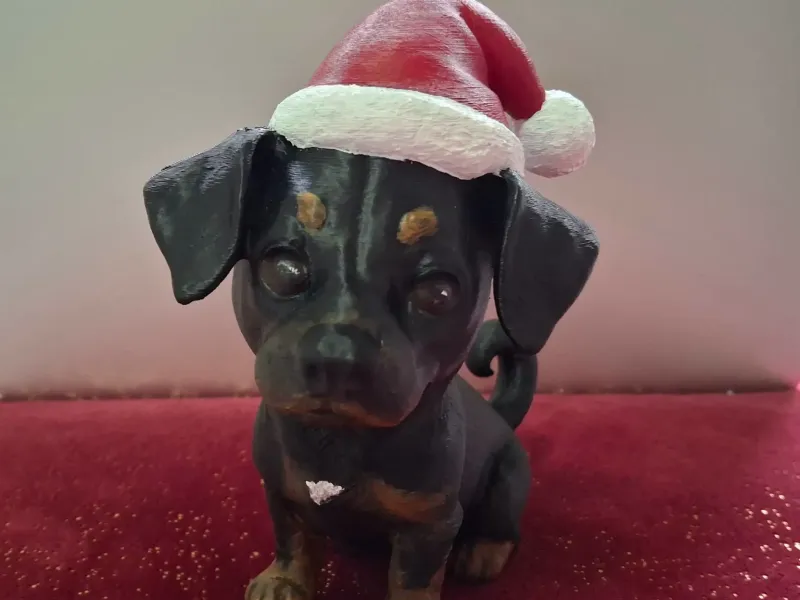 Bo (Jack Russell) mit Weihnachtsmütze / mit Santa-Mütze