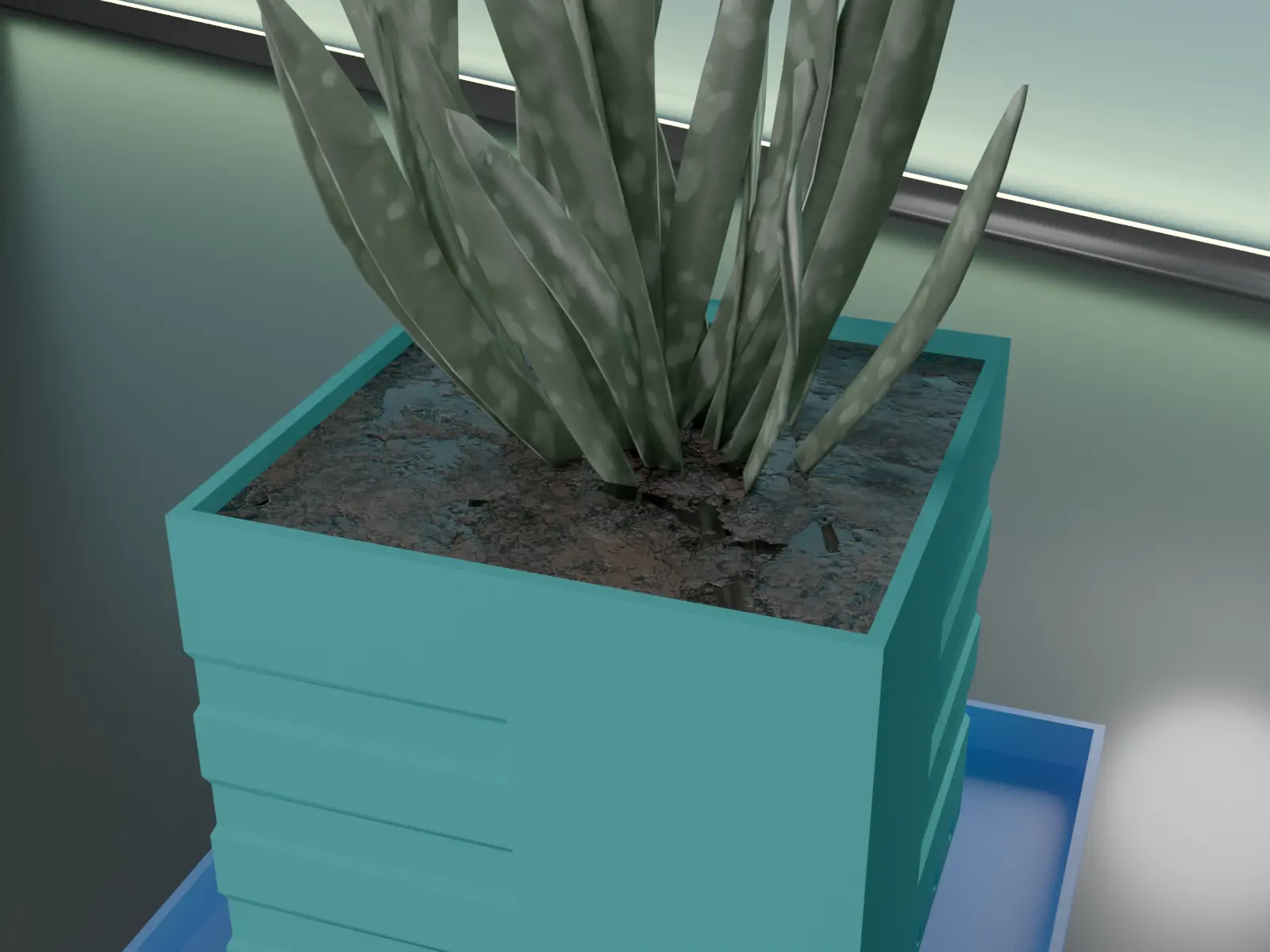 plant pot for succulent 28