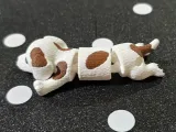 Mini Teckel-2