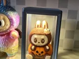Figurine display box-1