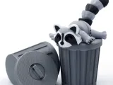 Articulated Racoon-3