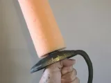 Rapier Pool Noodle-1