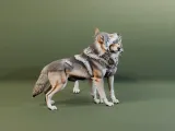 Embracing Wolf Couple Figurine 3D Model-4