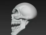 skull-1