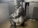 thic gorilla twerking-2