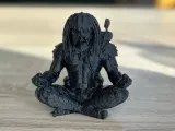 Meditating Predator-1