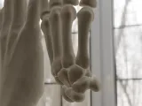 Human Hand Anatomy Bones 3D Print Model-5