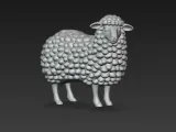 sheep-2