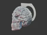 Skull with Exposed Brain 3D Print Model-4
