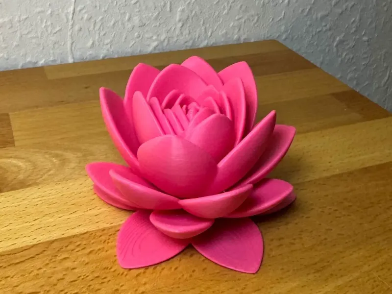Lotusblüte Support-free