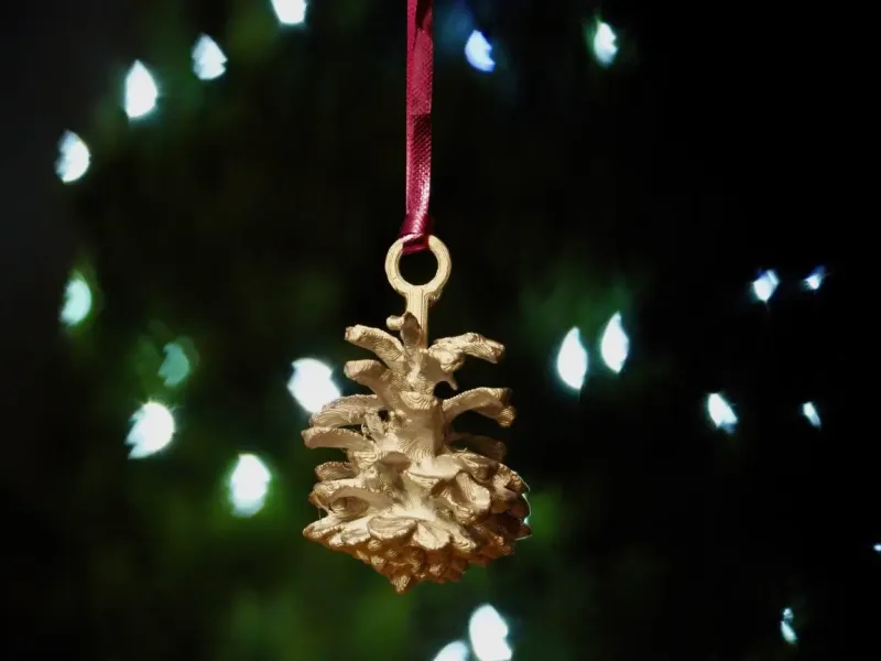 Pigna 1 Decorazione per albero di Natale